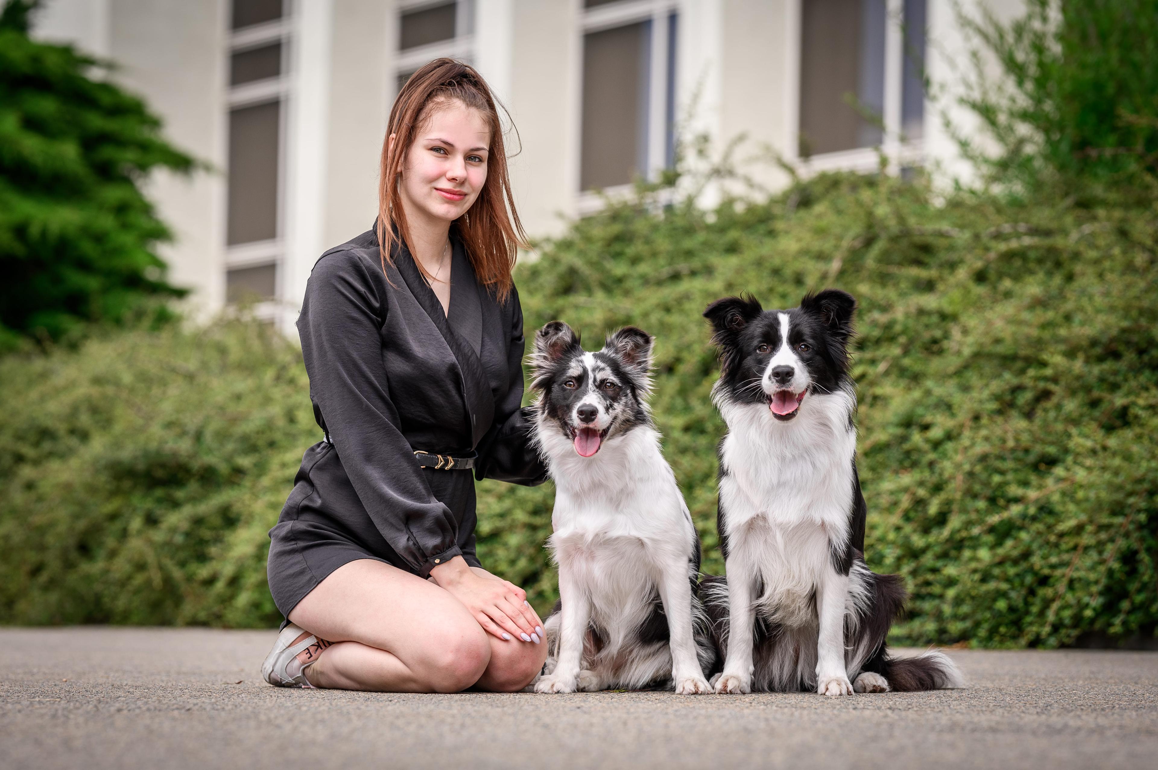 Instagram příspěvek 13 - HoneyRiver BC border collie