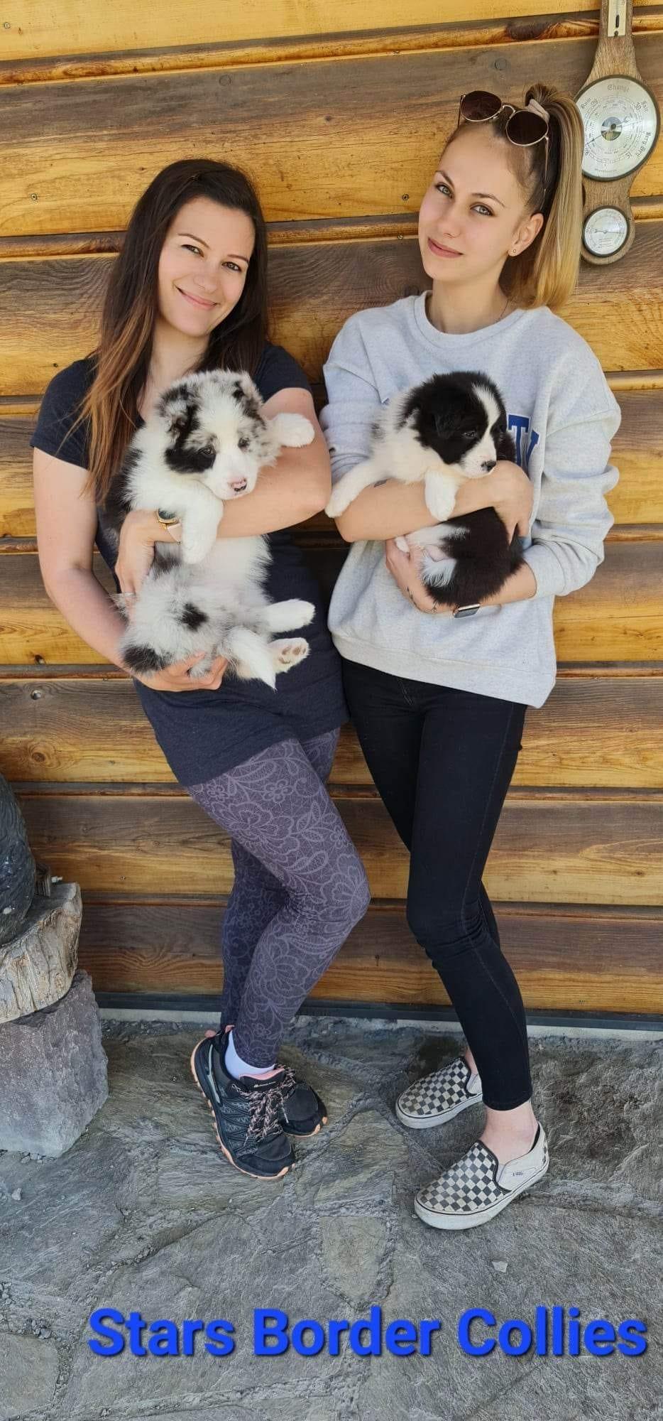 Instagram příspěvek 23 - HoneyRiver BC border collie