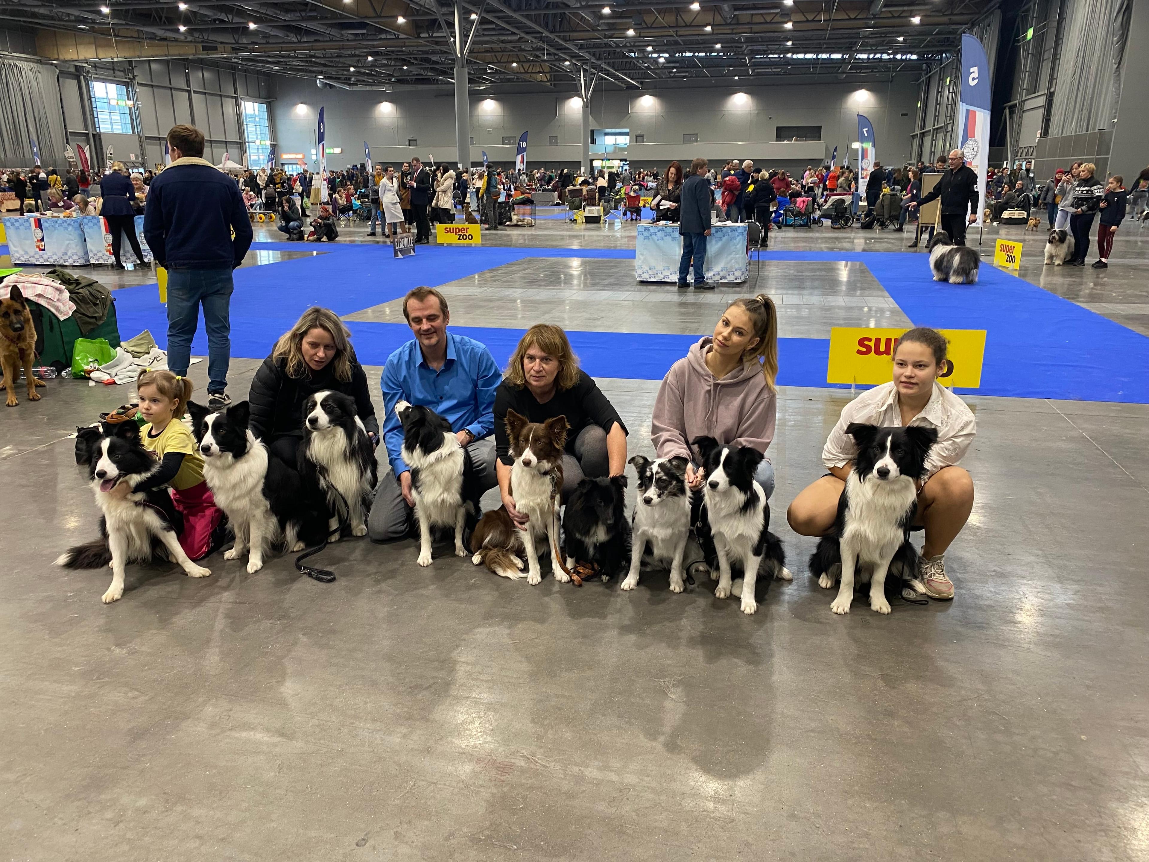 Instagram příspěvek 27 - HoneyRiver BC border collie