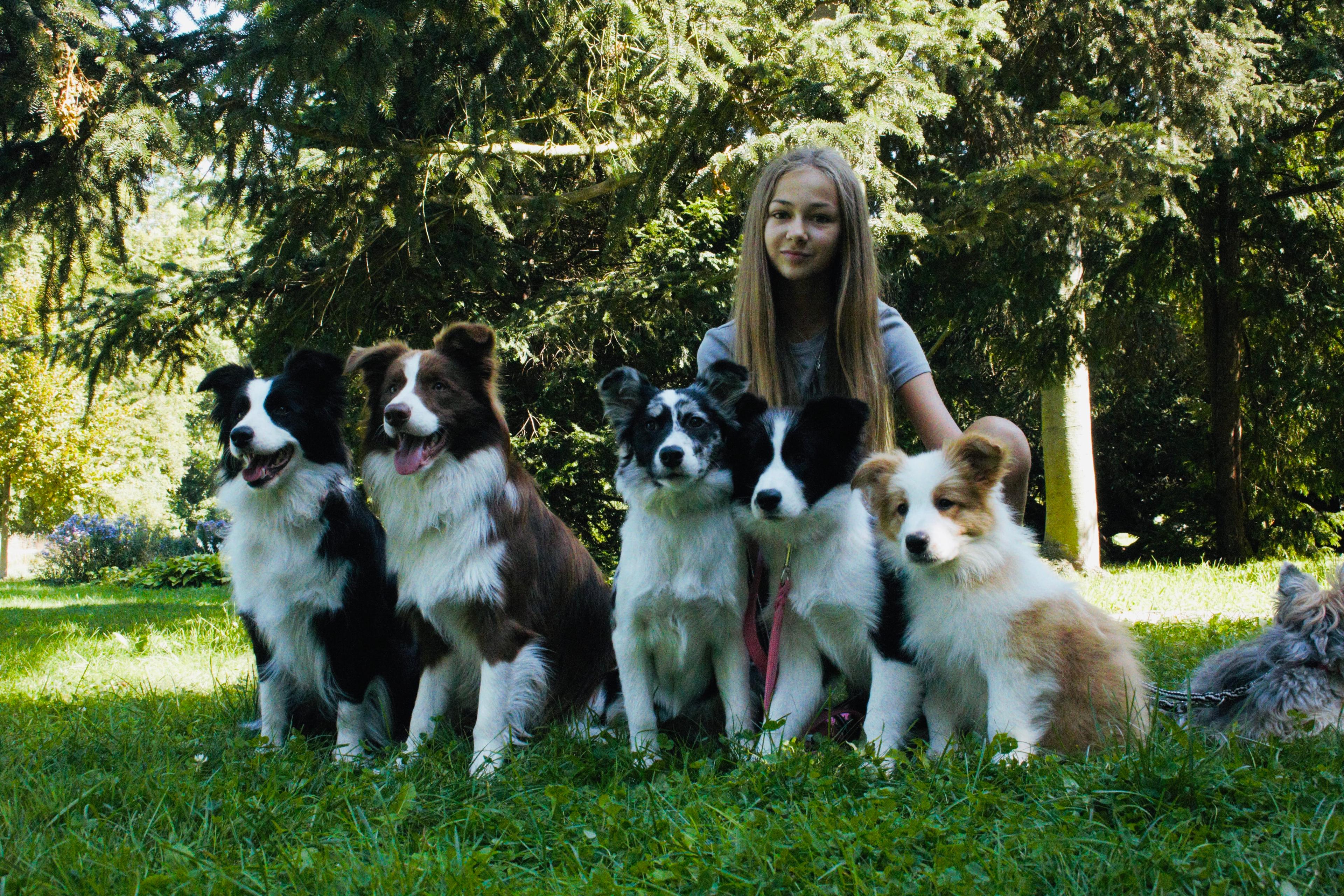 Instagram příspěvek 7 - HoneyRiver BC border collie