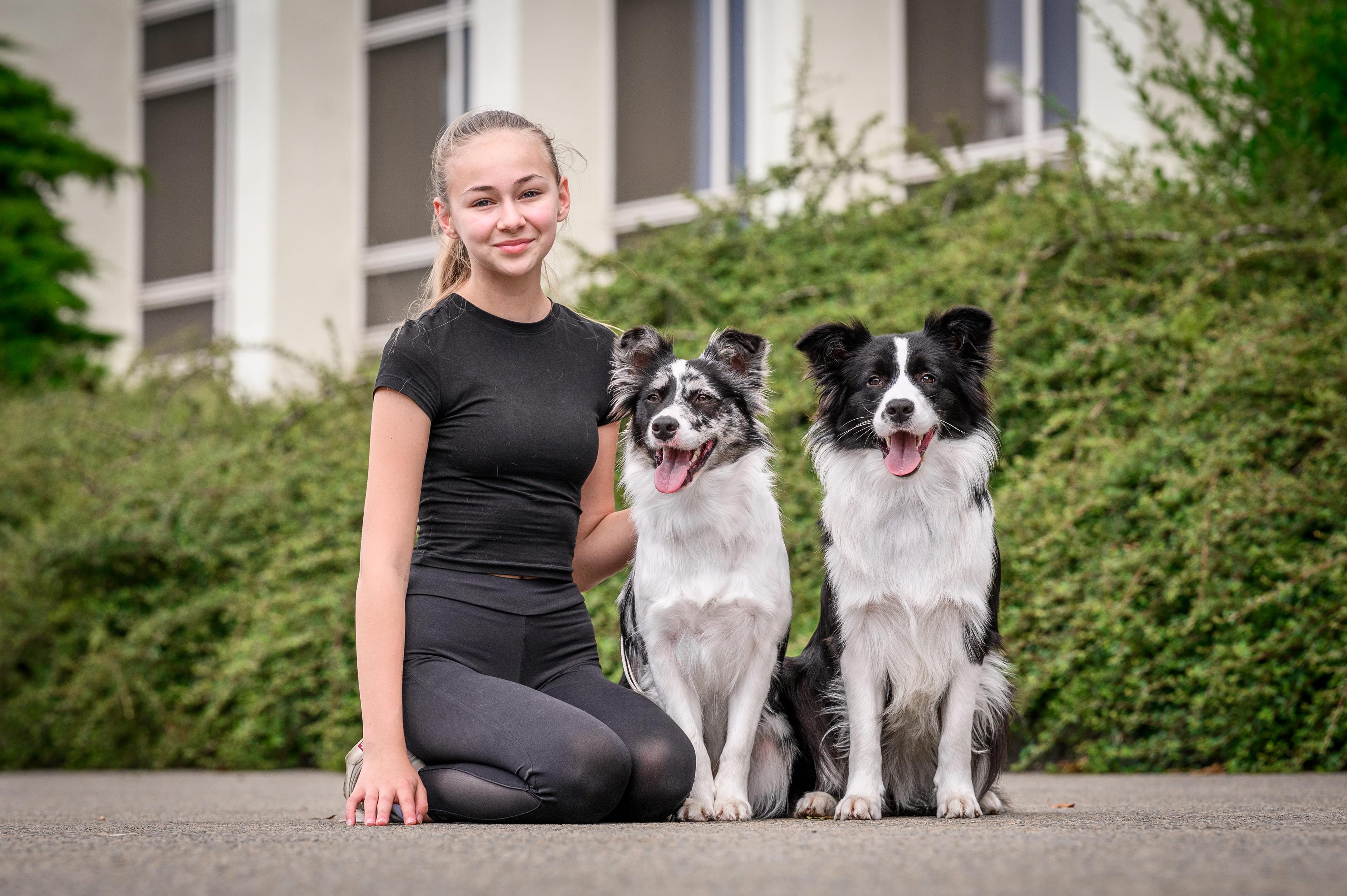 Veterinární péče